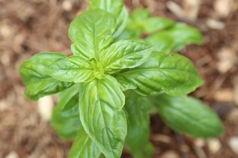 海油发展招标：多项节能、物资及服务项目明确资金流向