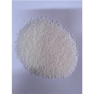 履职一年间丨深耕生态细处 守护一方碧水 他为鄱阳湖精准“把脉”