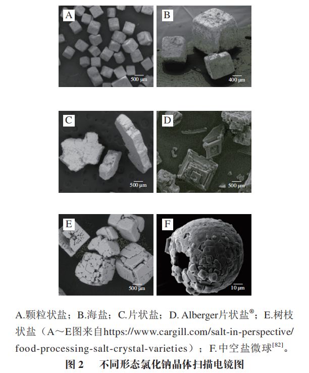 《食品科学》：中国农业大学毛立科副教授等：食品减盐策略研究进展(图6)