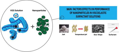 活了不到两天却改变美国！早产儿医疗革命因他而起被历史遗忘的肯尼迪幼子