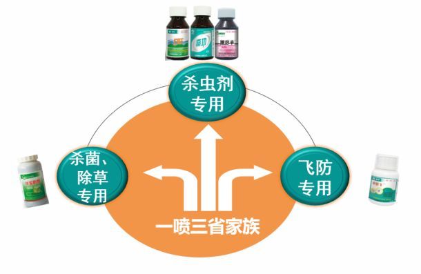 国货新势力VS国际大牌