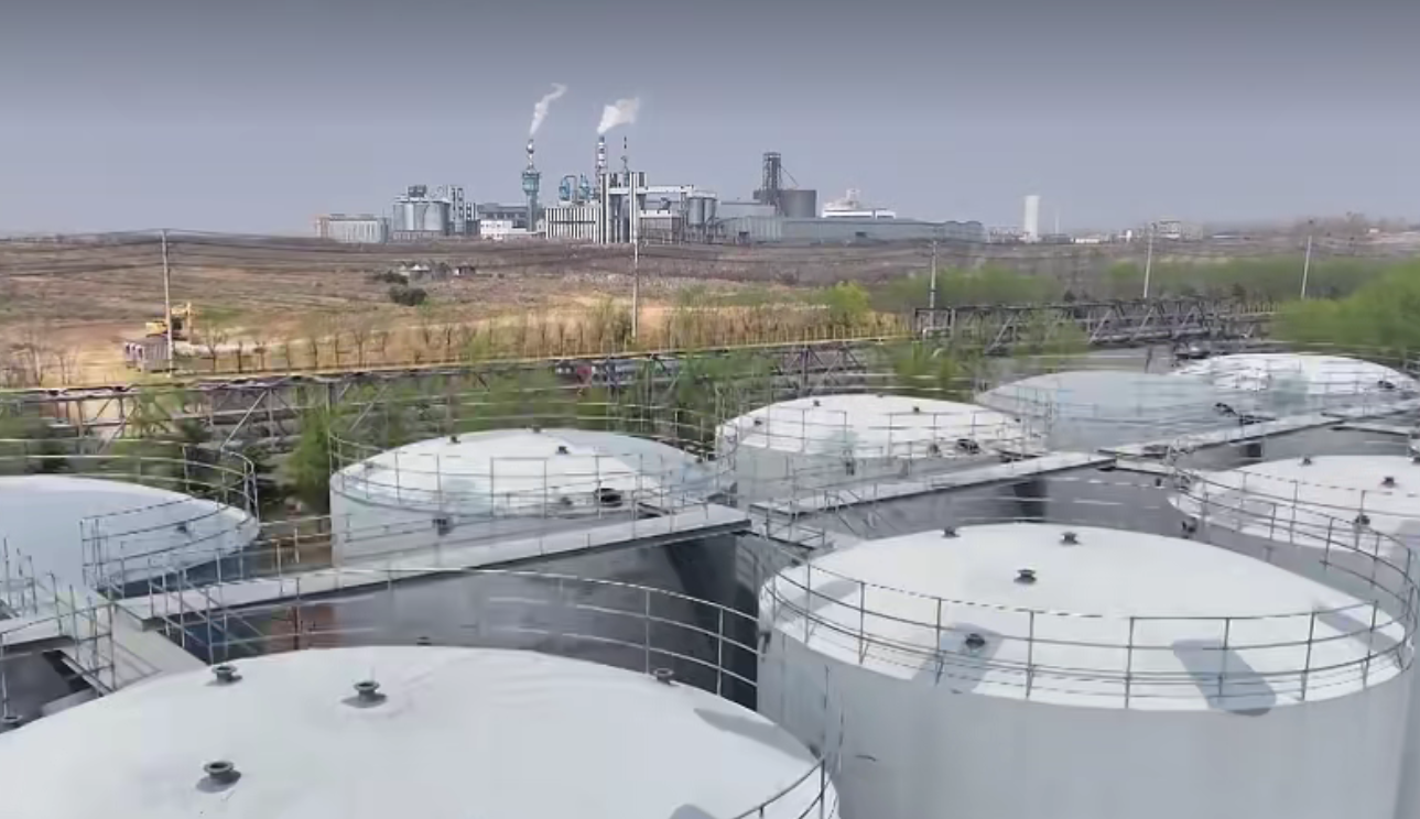 临港区：春启新程干劲满 项目攻坚不停步(图2)